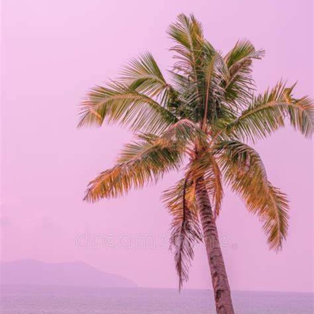 Meet your Posher, Abigail